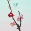 NOLYN Plum Blossom Series Graceful Earrings, original and niche design of White mother-of-pearl, gentle plum blossom stud accessories, earrings and stud accessories Application Scenario